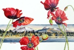 Poppies at the Lake by Sue Graham